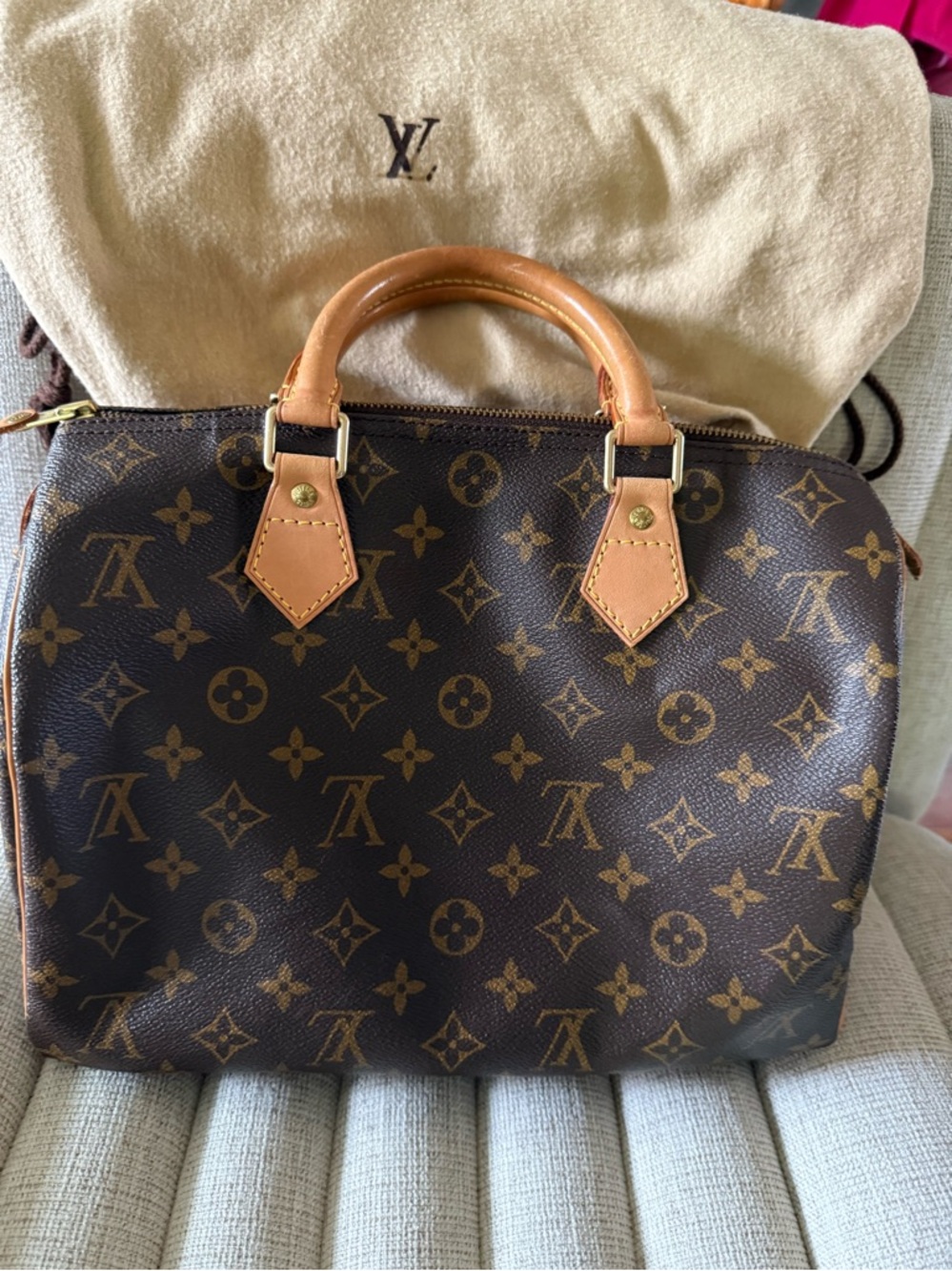 Louis Vuitton speedy 25